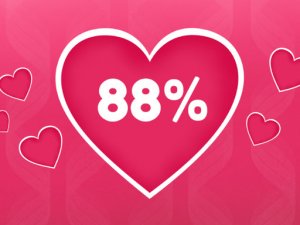 Compatibility Fun Arcade